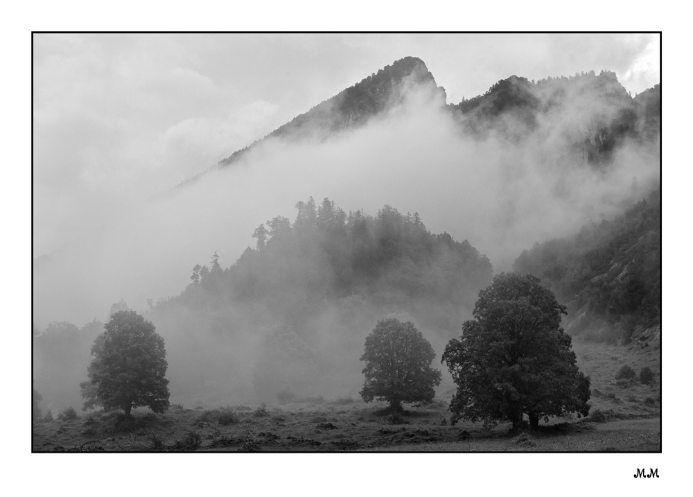 Nebel am Obersee GL