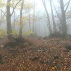 Nebel am Oelberg