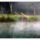 Nebel am Olchinger See