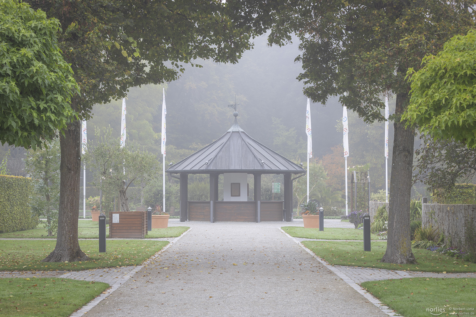 Nebel am Pavillon