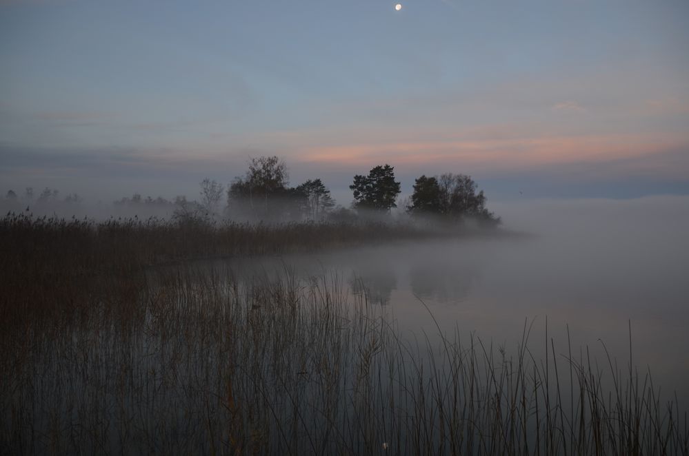 Nebel am Pfäffikersee!