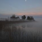 Nebel am Pfäffikersee!