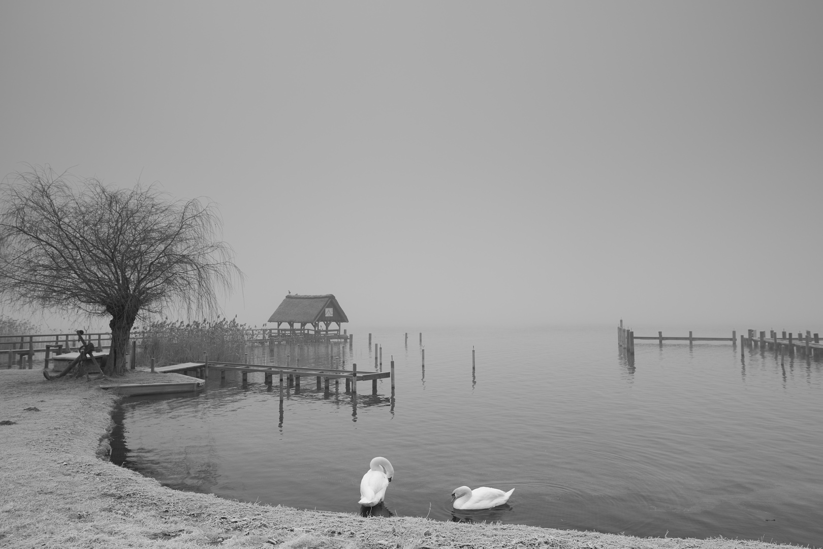 Nebel am Ratzeburger See