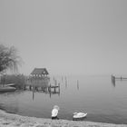 Nebel am Ratzeburger See