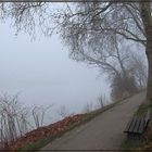 Nebel am Rhein