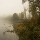 Nebel am Rhein