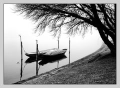 Nebel am Rhein