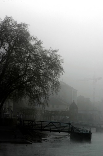 Nebel am Rhein