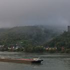 Nebel am Rhein