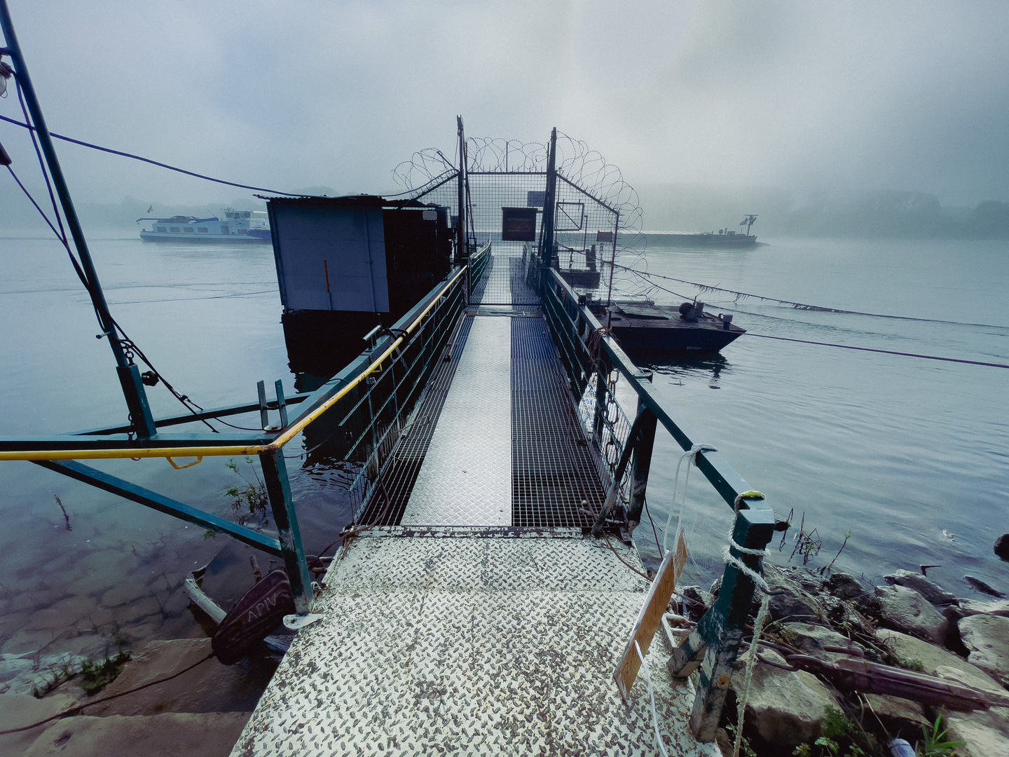 Nebel am Rhein