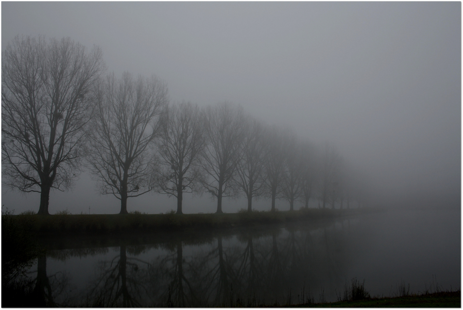 Nebel am Rhein