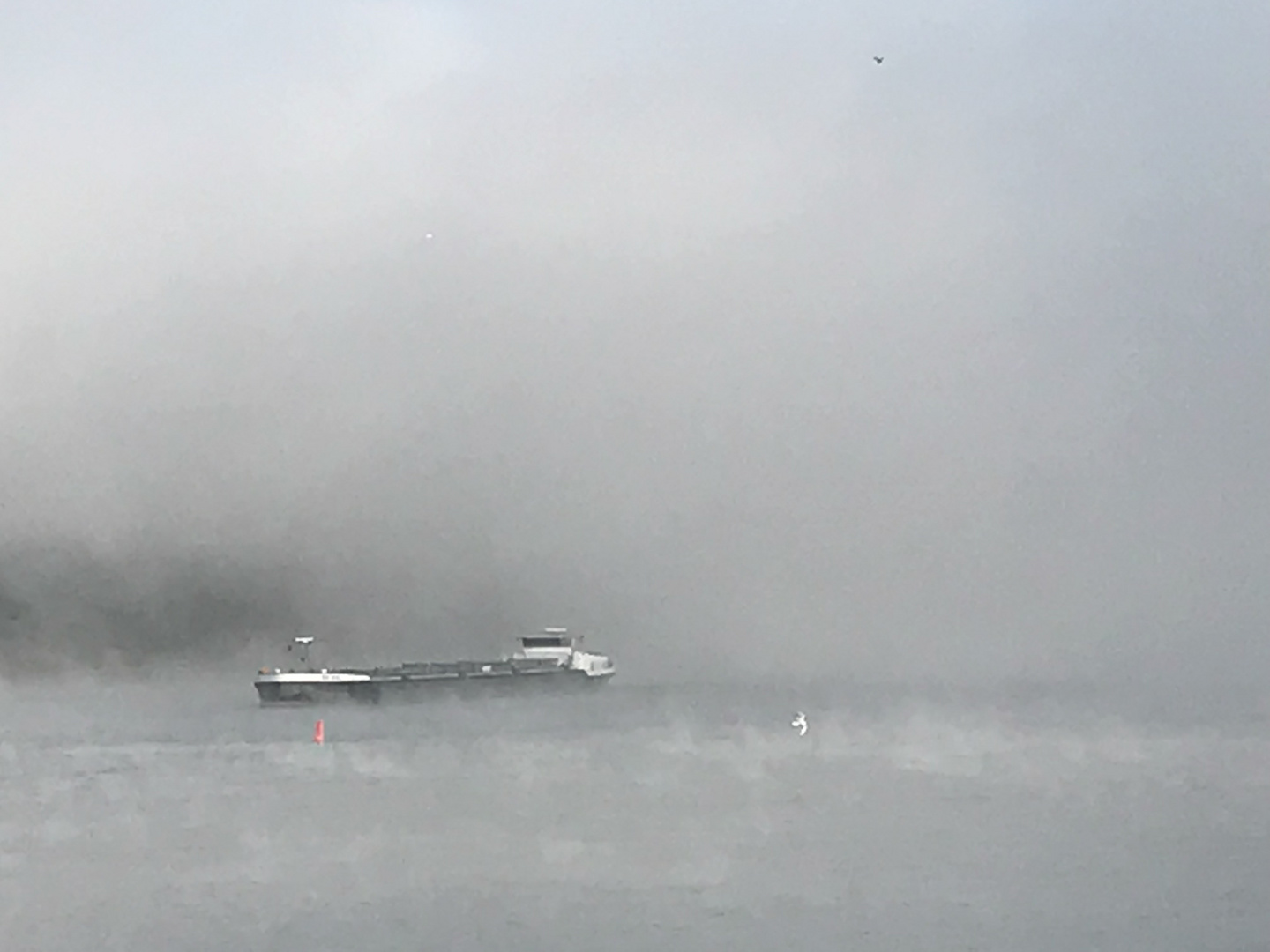 Nebel am Rhein in Bonn