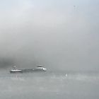 Nebel am Rhein in Bonn