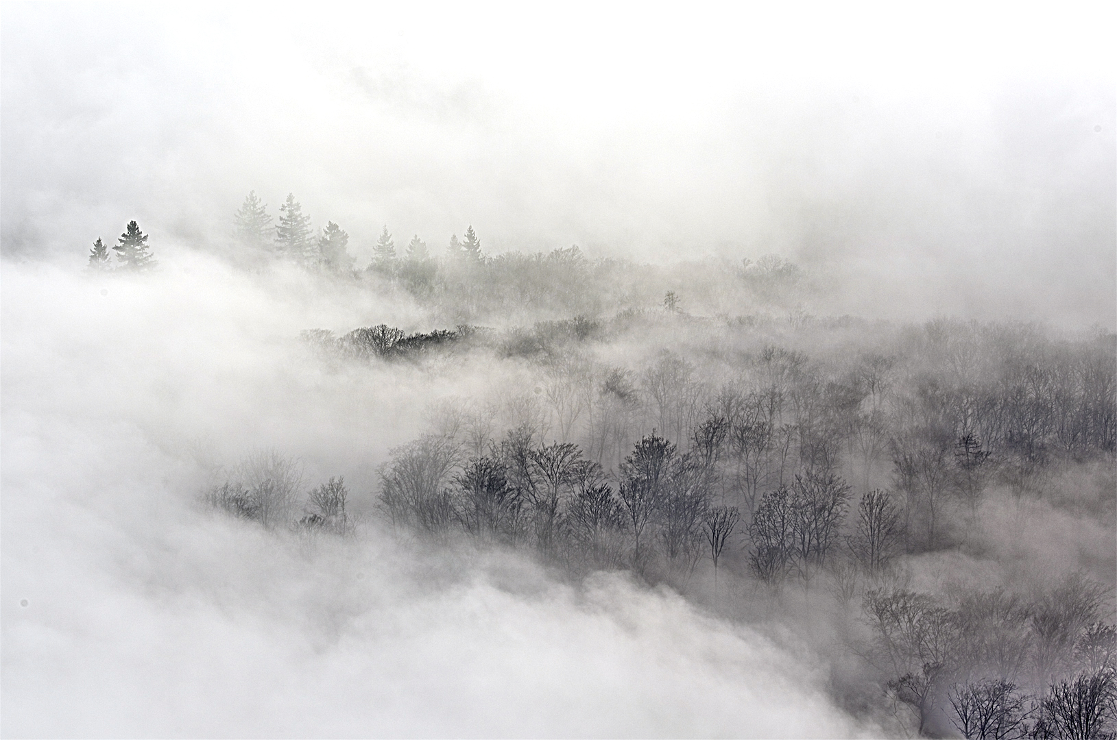 Nebel am Rimberg