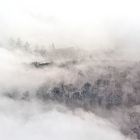 Nebel am Rimberg