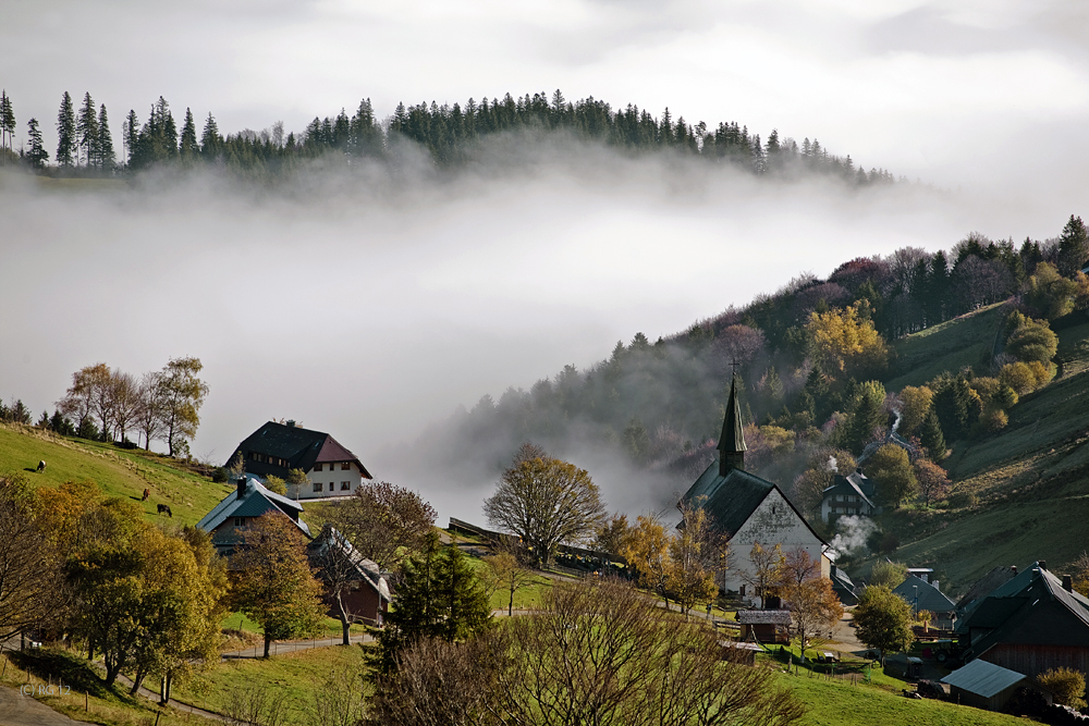 nebel am schauinsland