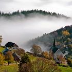 nebel am schauinsland