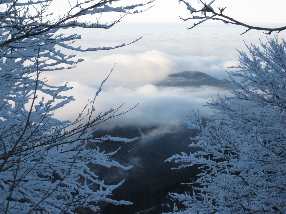 Nebel am Schauinsland