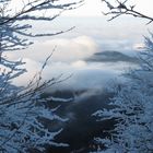 Nebel am Schauinsland