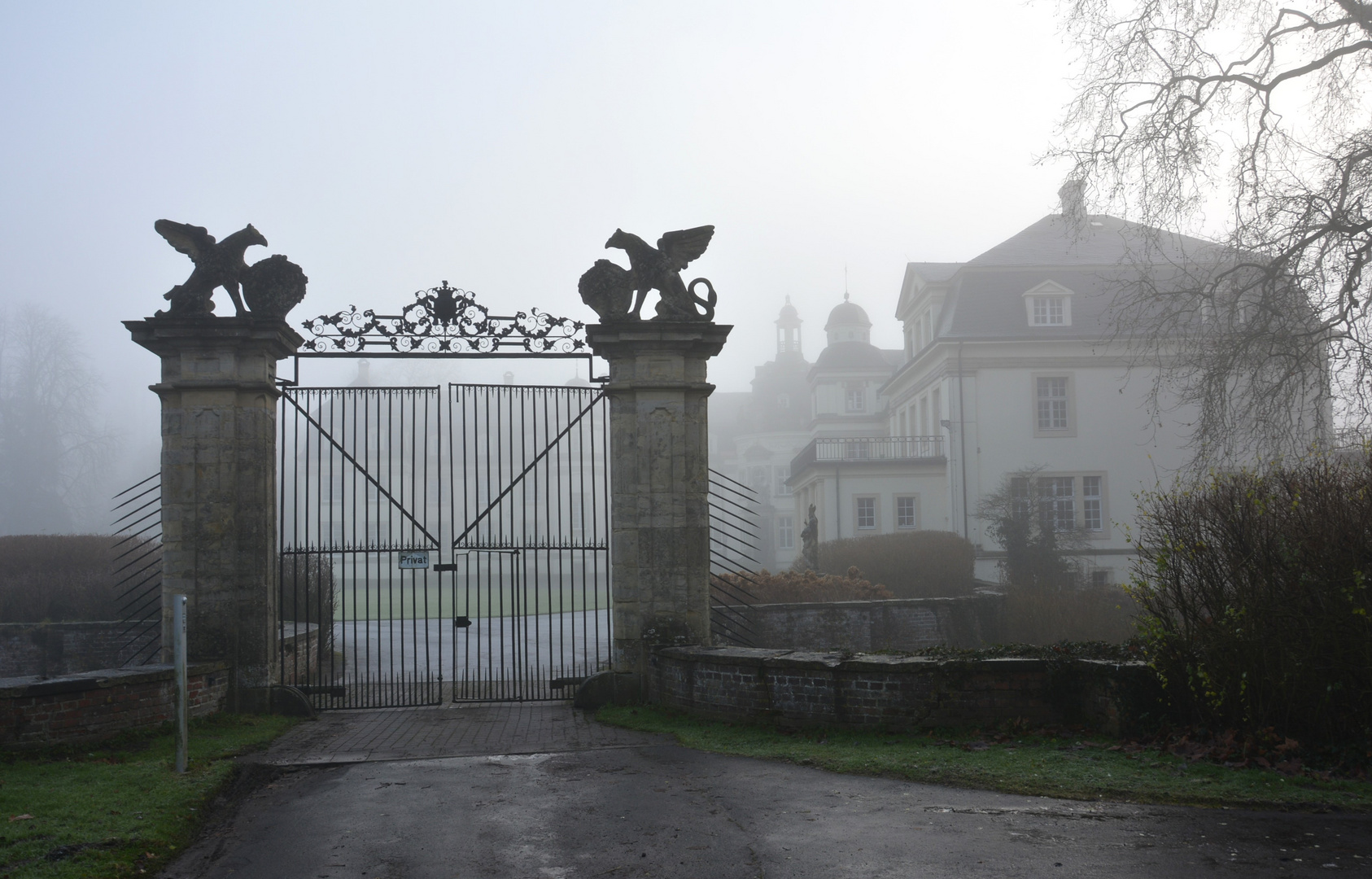 Nebel am Schloss...