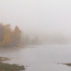 Nebel am Schluchsee