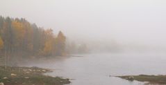 Nebel am Schluchsee