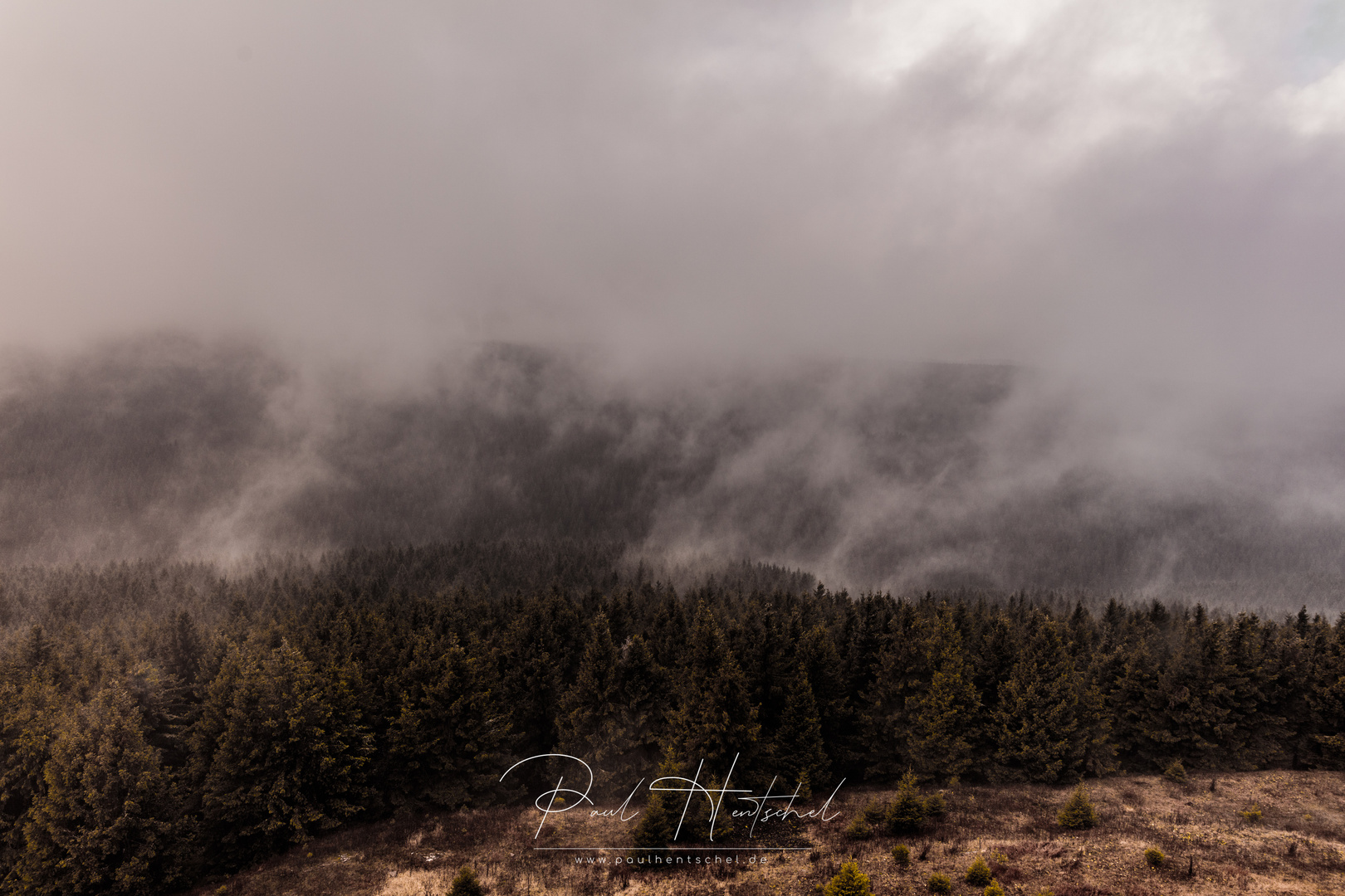 Nebel am Schneekopf - Thüringer Wald