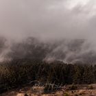 Nebel am Schneekopf - Thüringer Wald