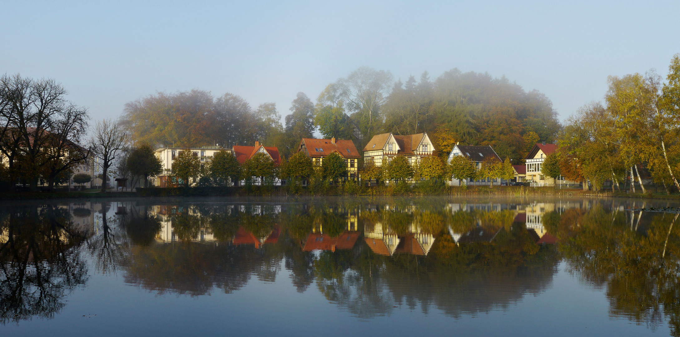 Nebel am Schwanenteich