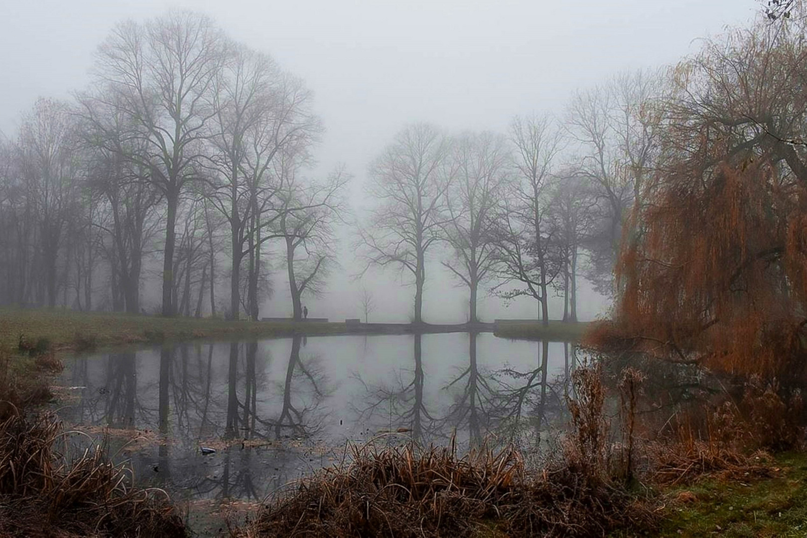 Nebel am See