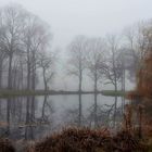 Nebel am See