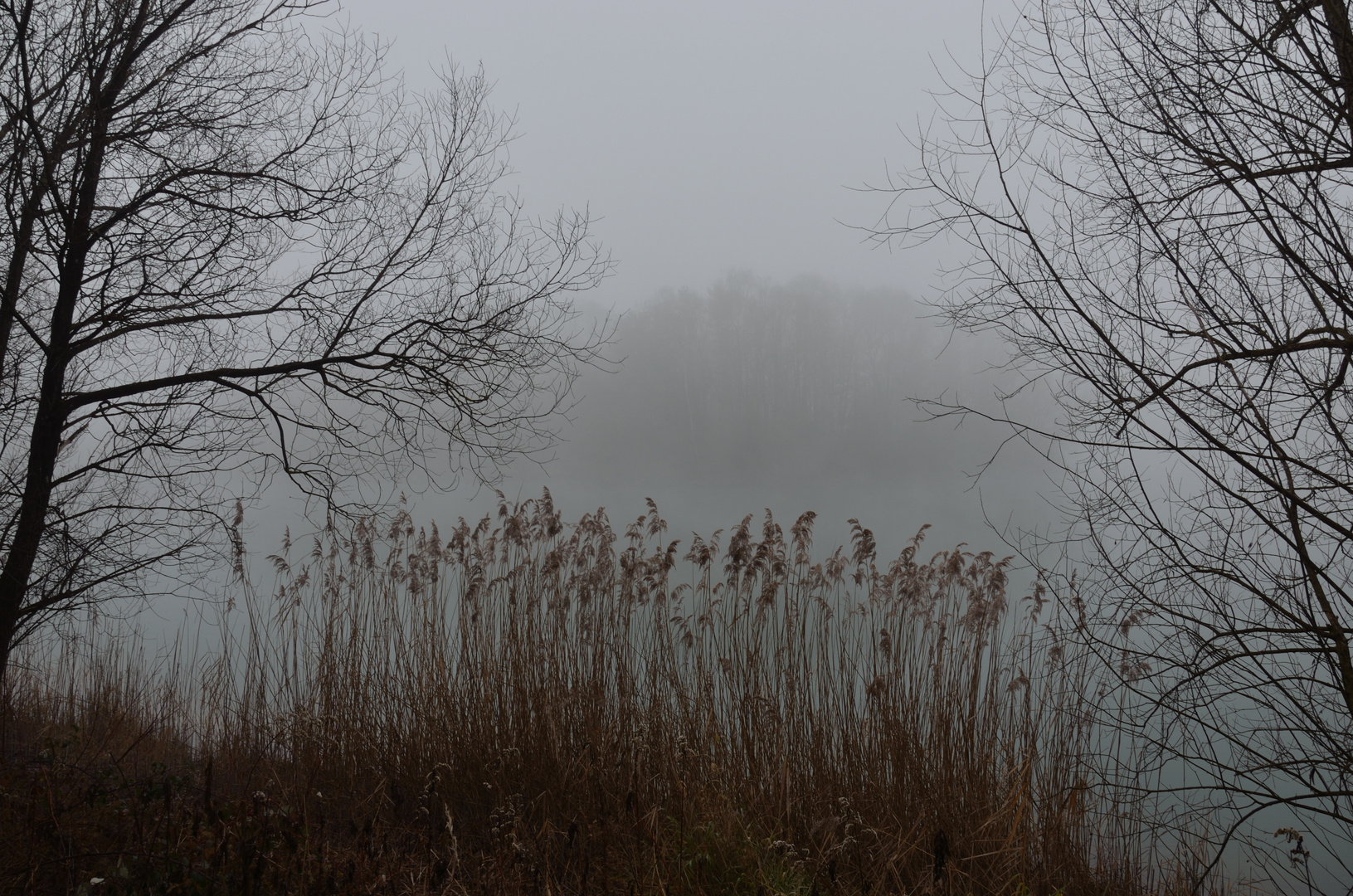 Nebel am See