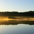 Nebel am See