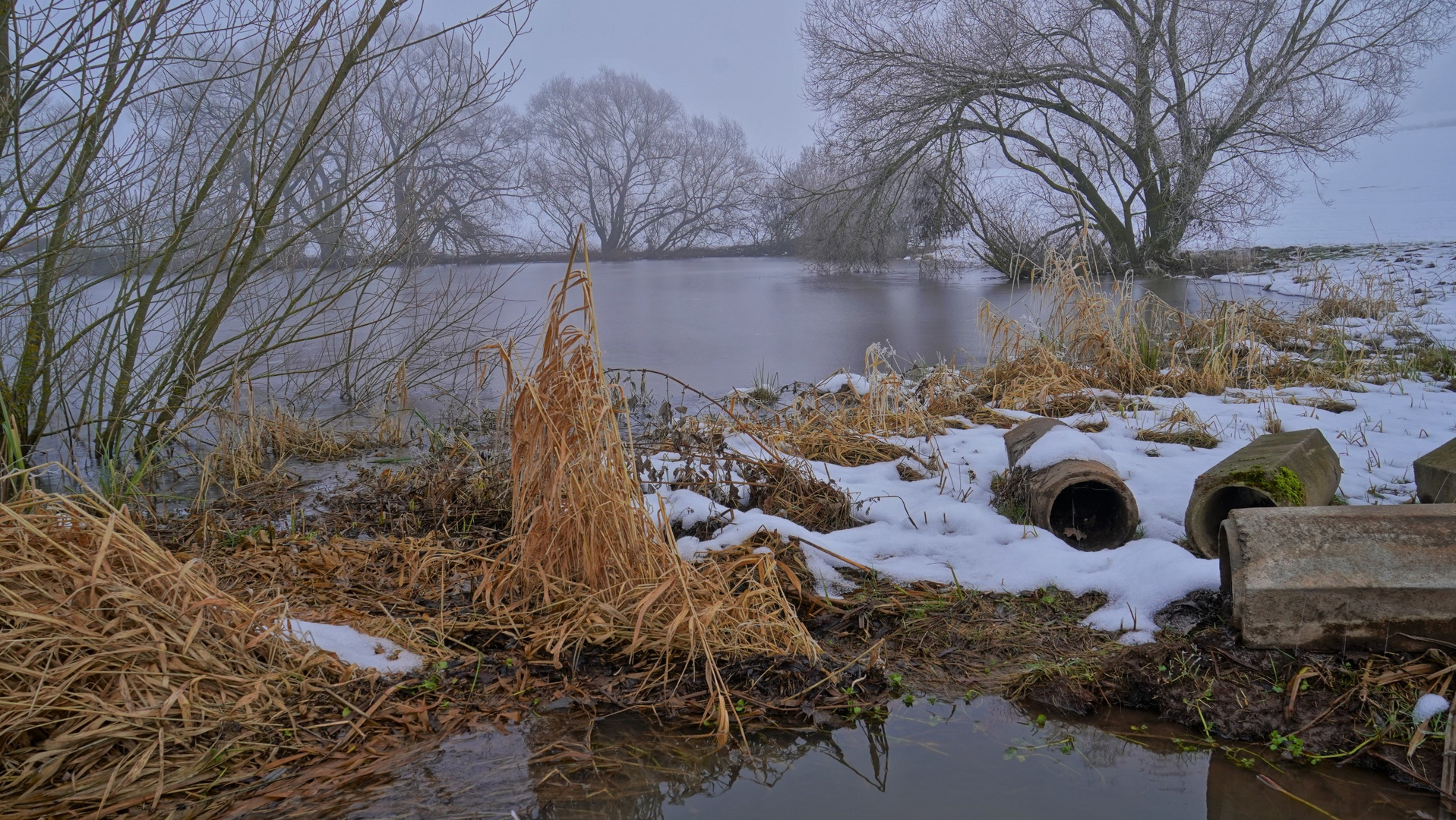 Nebel am See, 2 Foto & Bild landschaft, bach, fluss & see, see, teich