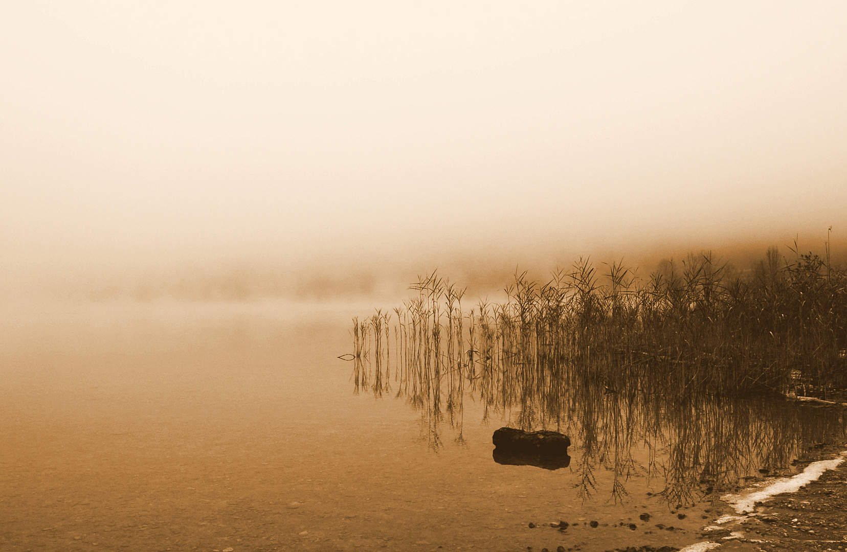 Nebel am See / 2