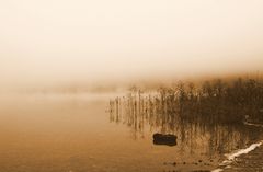 Nebel am See / 2