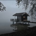 Nebel am See 2