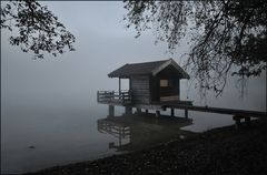 Nebel am See 2