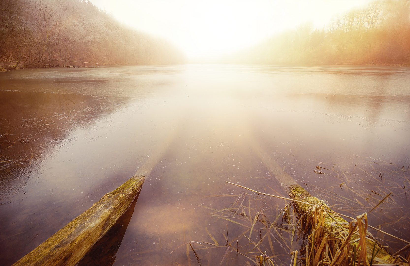 Nebel am See