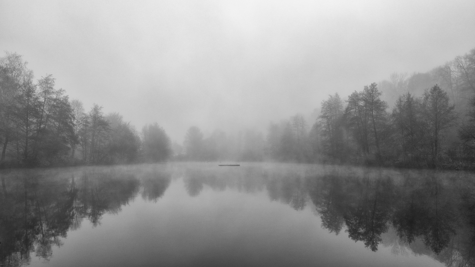 Nebel am See