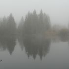 Nebel am See