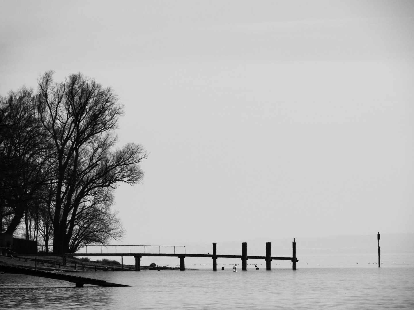 Nebel am See