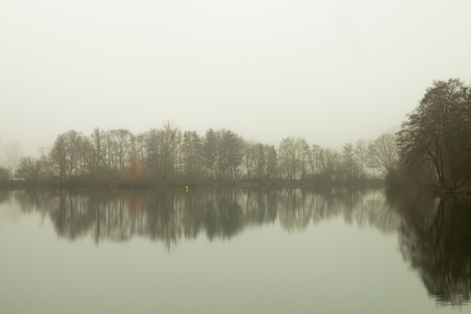 Nebel am See