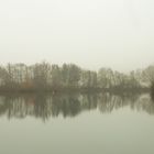 Nebel am See