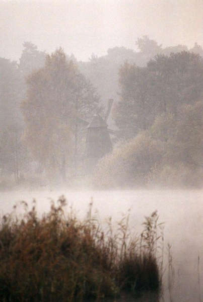 Nebel am See