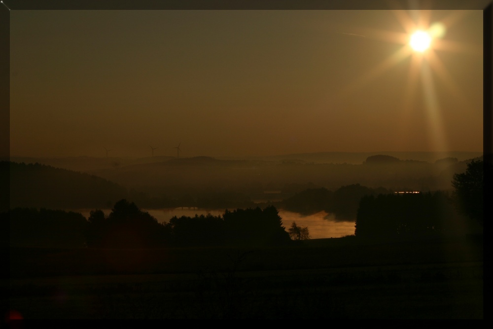 Nebel am See