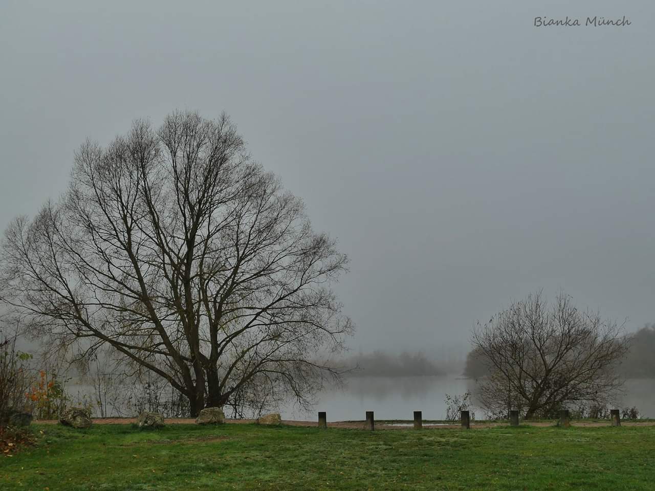 Nebel am See