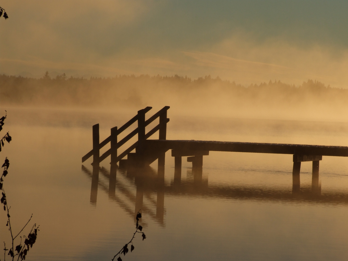 Nebel am See