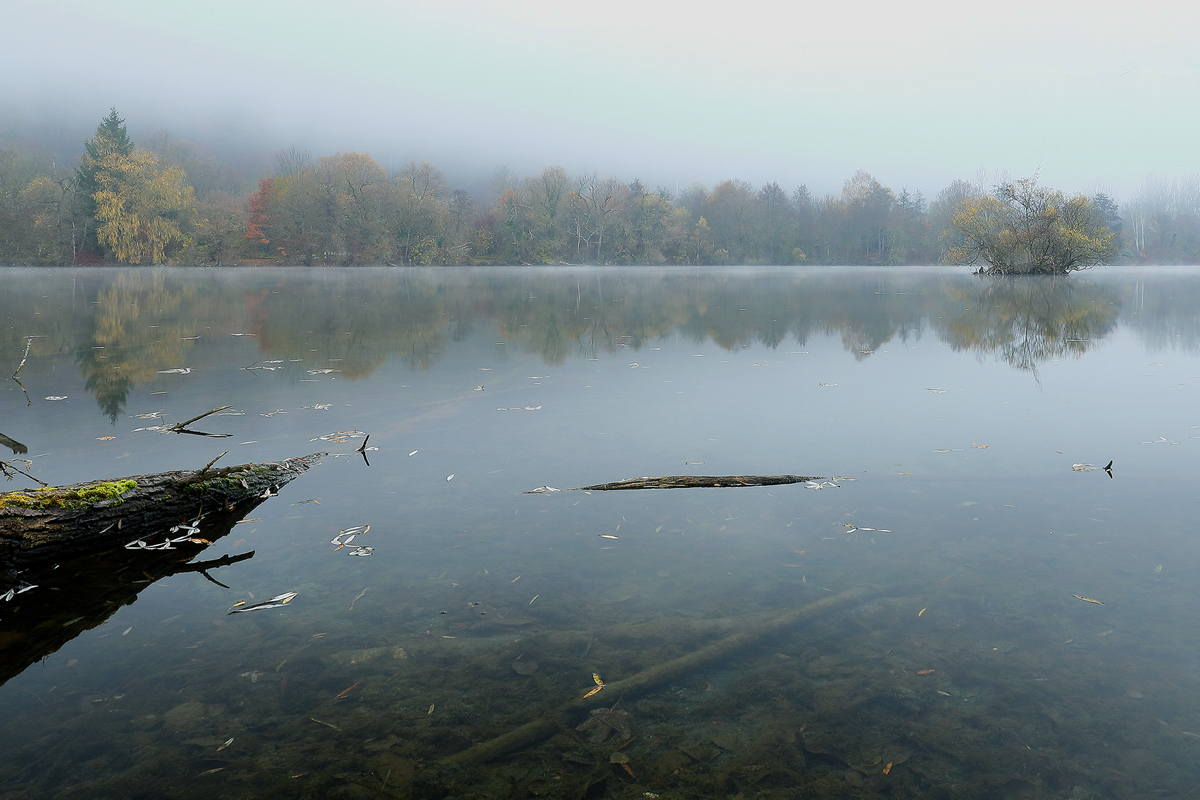 Nebel am See