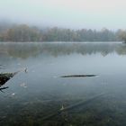 Nebel am See